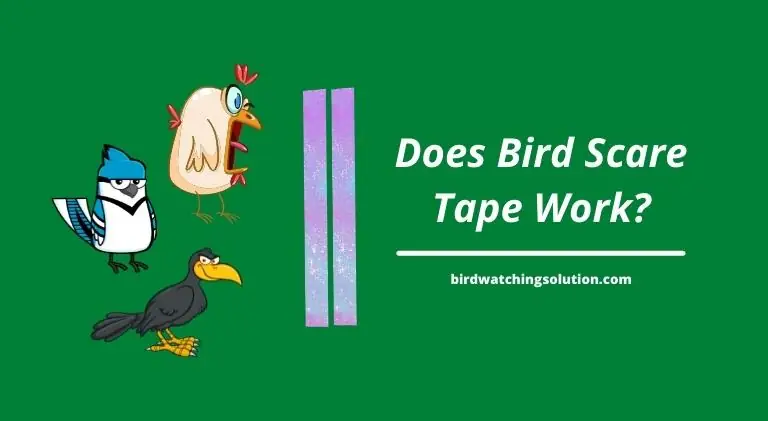 Does bird scare tape work?