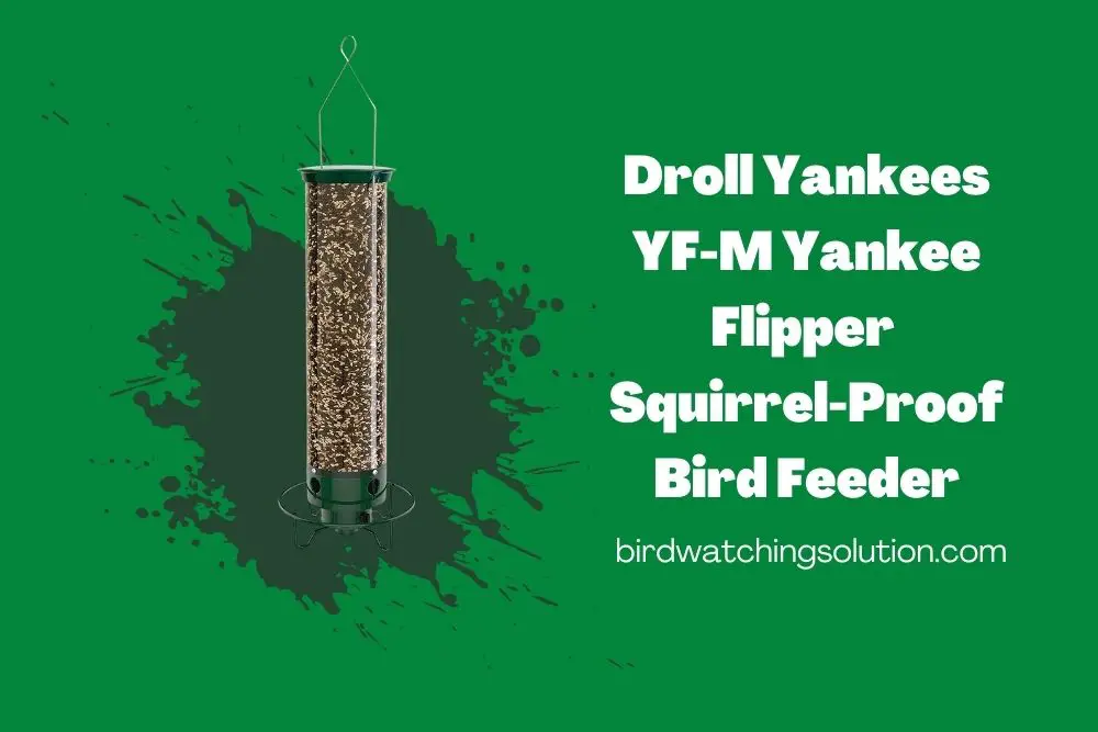 Droll Yankees YF-M Yankee Flipper Squirrel-Proof Bird Feeder