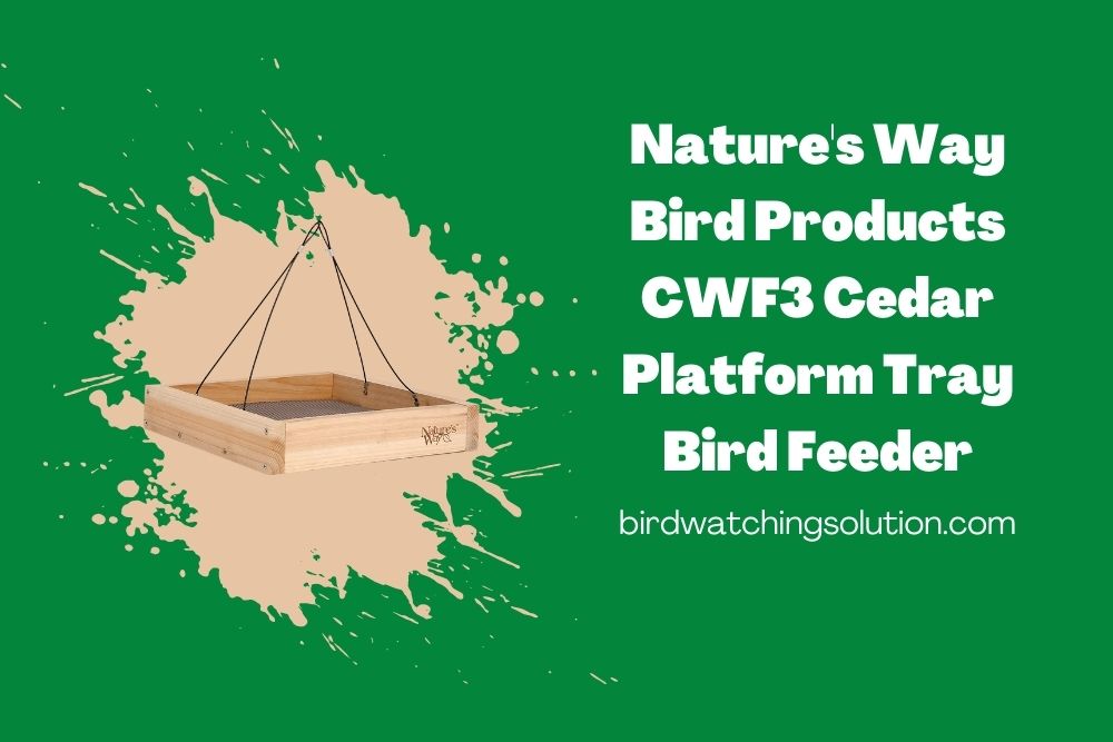 Nature's Way Bird Products CWF3 Cedar Platform Tray Bird Feeder