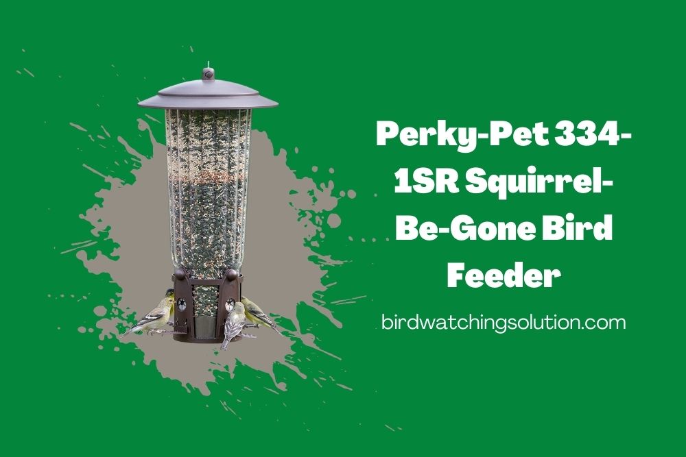Perky-Pet 334-1SR Squirrel-Be-Gone Bird Feeder
