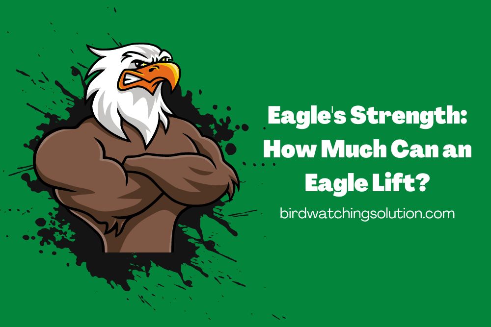 How Much Can an Eagle Lift