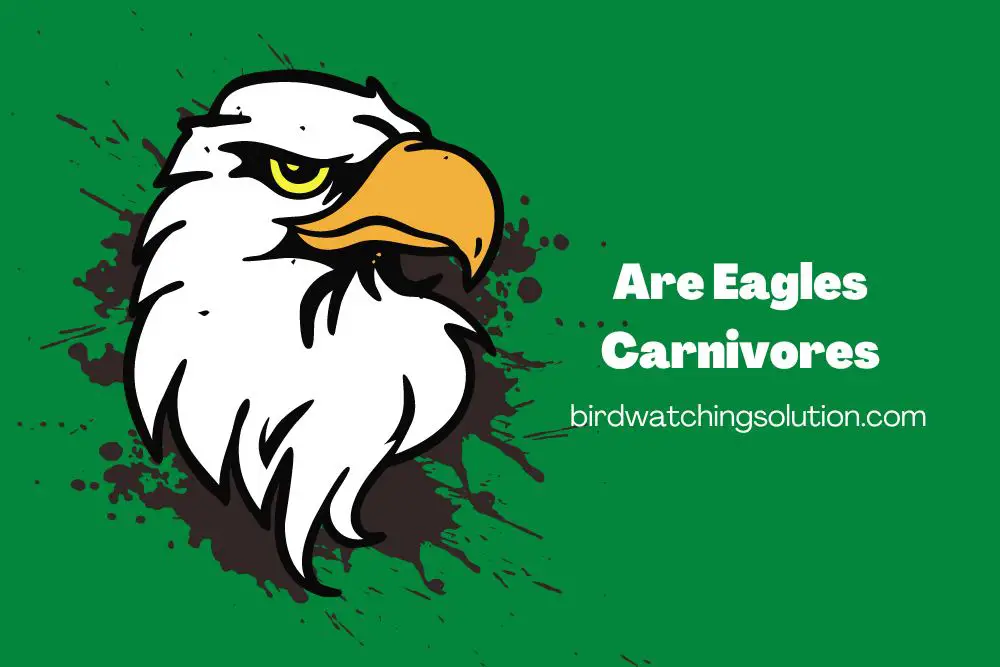 Are Eagles Carnivores (2)