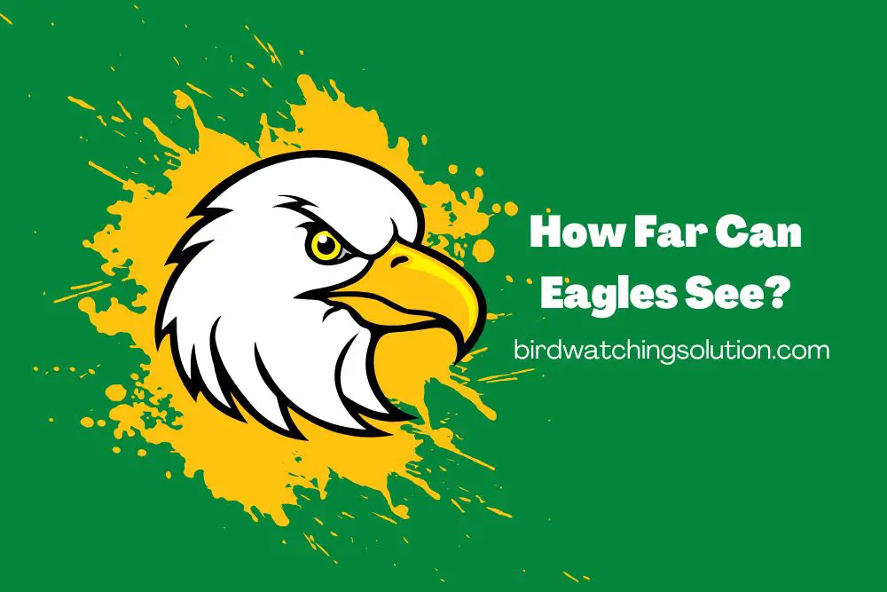 How Far Can Eagles See