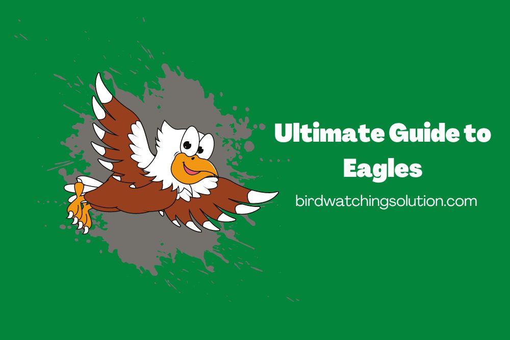 Ultimate Guide to Eagles (2)