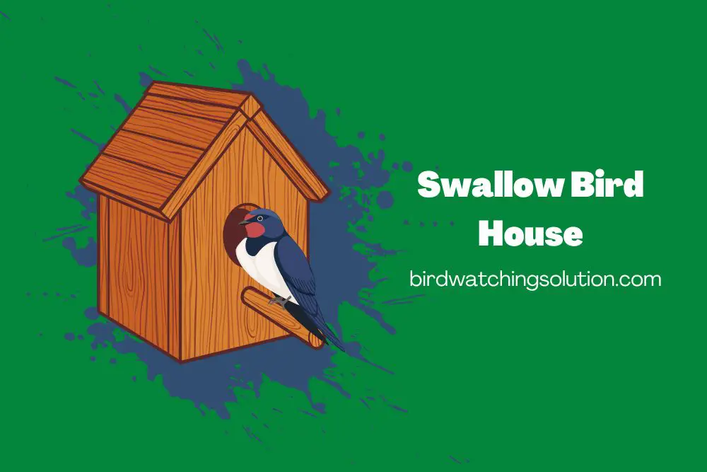 Swallow Bird House (2)