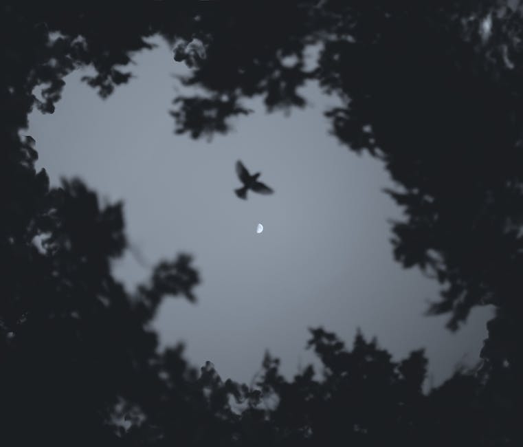 Illustration of a bird flying at night, depicting the effects of climate change on bird migration pathways.